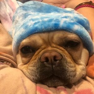 Meet your Posher, Ava